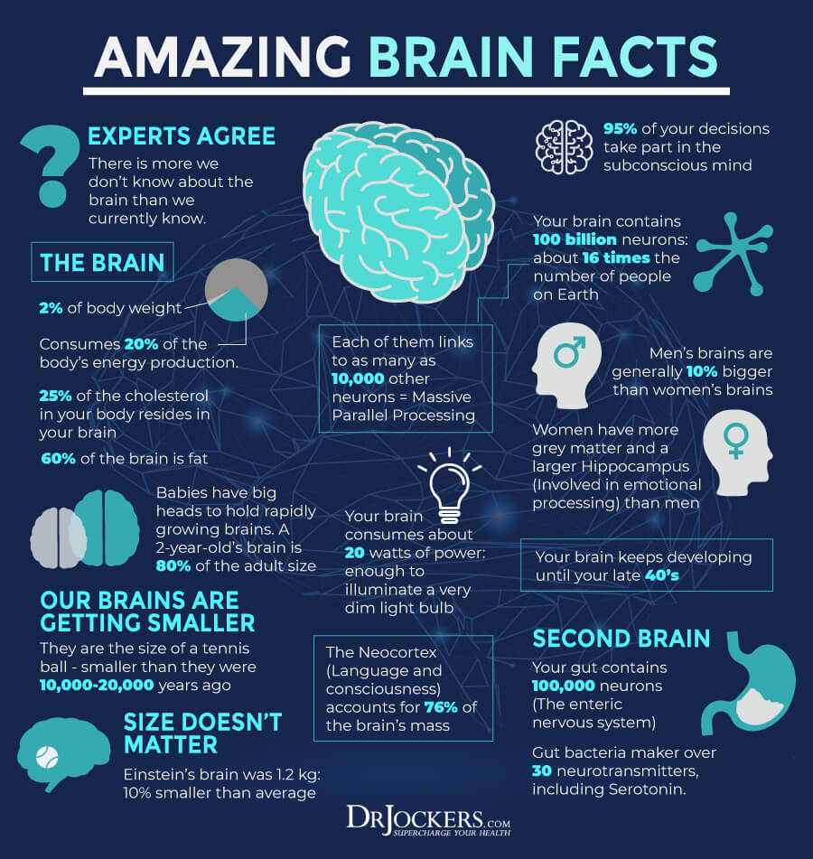 Amazing Facts About Brain - Rakesh Babu